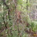 2011-Sep-10_HGR4X4_RichloamBB 046